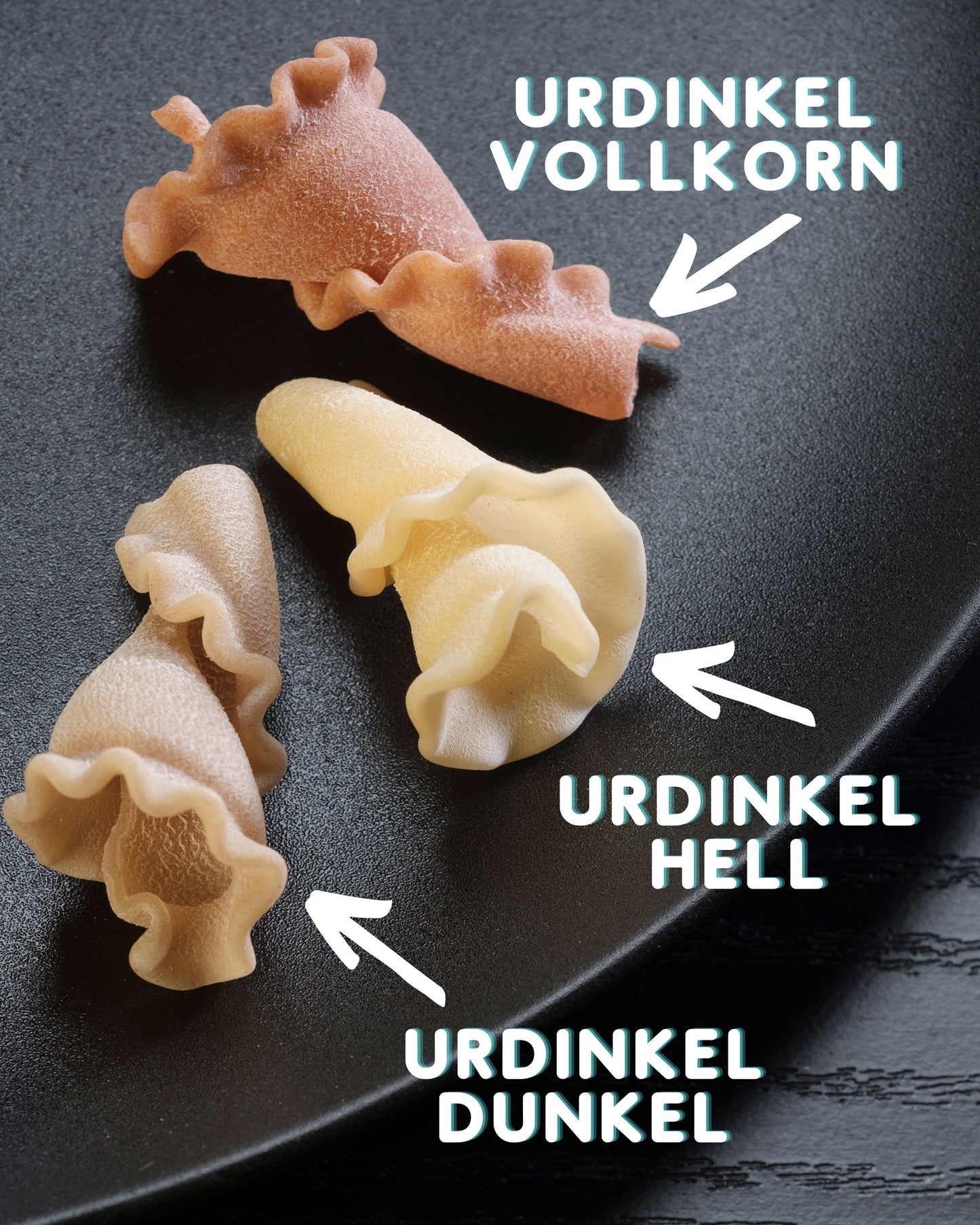 Tulpen UrDinkel dunkel Nudeln vegan Bioland 5 kg